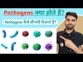 What is a Pathogen What are Pathogens Pathogens Explained