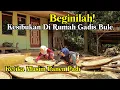 Download Lagu Suasana Kesibukan Dan Kegiatan Di Rumah Gadis Bule Ketika Musim Panen Padi
