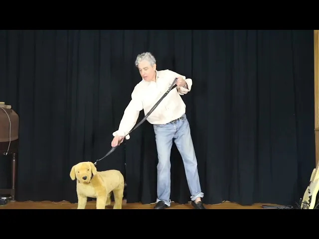 Sporn Heel-X 5 Handle Dog Training Leash