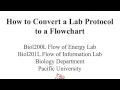 How to Convert a Lab Protocol to a Flowchart