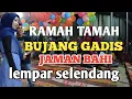 Lagu ramah tamah bujang gadis dusun laman LEMPAR SELENDANG