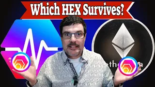 PHEX vs EHEX Which One Will Survive The Truth About HEX and PulseChain