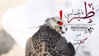 طير الحمامي مسرع X غير مسرع اداء محمد بن غرمان و نايف ال جلاب 
