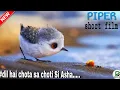 Download Lagu Piper short film | Dil hai chota sa choti si asha | bird video | Deepak Ber