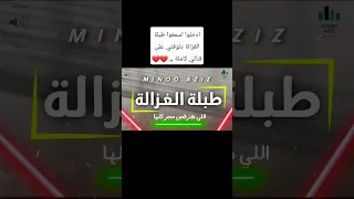 طبلة الغزالة الجديده اللي هترقص مصر كلها توزيع جديد مينو عزيز ادخلوا اسمعوها كاملة دندنها