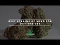 Best strains of WEED for Daytime Use