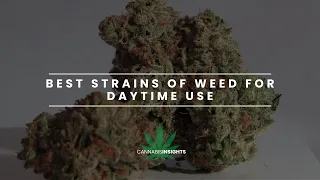 Best strains of WEED for Daytime Use