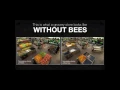 Warping the age old craft of beekeeping into the modern age | André Kapitein | TEDxHaarlem