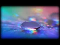 The Cinematic Orchestra  " First light "