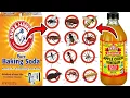 Download Lagu EFFECTIVE PEST CONTROL: Baking Soda and Vinegar Solution Revealed For Cockroaches, Fleas, Ants, etc