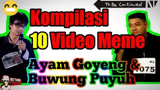 Download Viral!! 10 Kompilasi Video Meme Buwung Puyuh \u0026 Ayam Goyeng😂 MP3