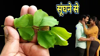 लगाते ही उ त्तेजना इतनी बढ़ जाती है कि खटिया टूट जाती है, इतना तेज पावरफूल हैं 