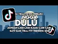 DJ NGGA DULU - JANGAN LAGI LAGI KAMU CARI CARI VIRAL TIKTOK TERBARU 2025 SLOW BASS