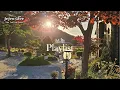Download Lagu 🎵Afspeellijst! Liedjes die de herfst ademen, 🎧 ontvang 5 uur troost van het bos [Vol. 16 Herfstbos]