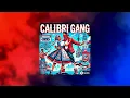 Download Lagu Calibri Gang - Šuhaj (prod. Trapboy x Tchallabeatz)