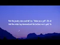 Nelly - Grillz (Lyrics) | "rob the jewelry store and tell 'em make me a grill" [TikTok Song]