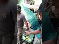 Download Lagu ngarujak ker hanaang kie mah para pemirsa...