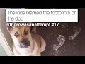 Best Posts