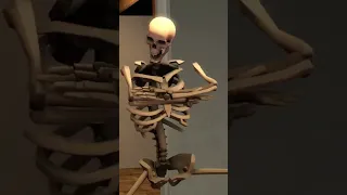 اغرب 5 فيديوهات علي يوتيوب 