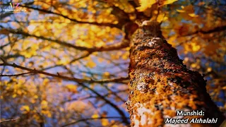 قلبي يرف عبدالمجيد الشلاَّحِي دندنها