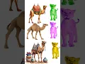 Download Lagu #cat #minumsusu #kucing #bayikucinglucu #catlover #kucinglucu #bayikucing #funny #bayikucingimut