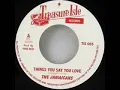 THE JAMAICANS - THINGS YOU SAY YOU LOVE.wmv