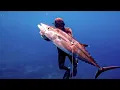 Download Lagu PANEN IKAN MONSTER DI LAUT 