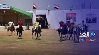 بمشاركة دول عربية انطلاق مهرجان الشرقية للخيول العربية في دورته الـ25 بمصر 