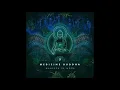 Download Lagu Maneesh de Moor - Medicine Buddha