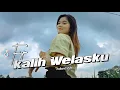 Download Lagu DJ Kalih Welasku - Thailand Style VIRAL TIK TOK - [BOOTLEG]