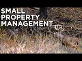 Bedding Or Food FIRST Step On A SMALL Property