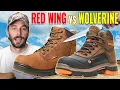 Caught false advertising again - Red Wings vs Wolverine