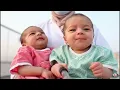Download Lagu فلوق توام الذكاء الاصطناعي الانتقام من الدكتور