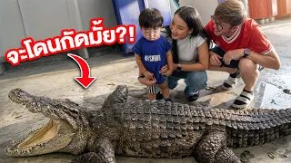 พาลูกชายไปจับจระเข้ครั้งแรก!! จะกลัวหรือไม่กลัว?!