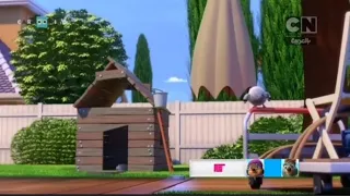 بانر التالي مولي كرتون نتورك بالعربية 