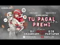 Download Lagu Tu Pagal Premi Awara | Over Bass Sound Check | Dj Remix 2024 | High Gain | Dj Sohail Gzb