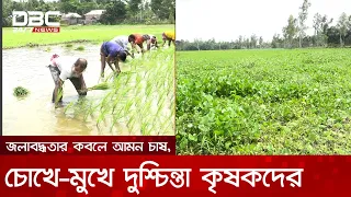 গাইবান্ধায় জলাবদ্ধতায় আমন চাষ অনিশ্চিত, বিপাকে পাঁচ শতাধিক কৃষক | DBC NEWS
