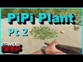 How To Find PiPi Plant - Part 2 Testing How Elusive