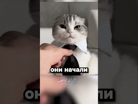 Вот для чего придумали ИИ