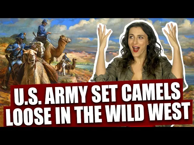 The sad and bizarre history of the U.S. Army Camel Corps<br><a href="https://www.youtube.com/watch?v=gKIyA3xeyX4list=PLJYUMn4XmcPmEHt7s-fKMmH2v-vP2znb8index=79" target="_blank" rel="noreferrer noopener">www.youtube.com</a>