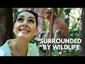 Download Lagu Borneo Travel Vlog | Exploring Sarawak’s Wildlife \u0026 Rainforest