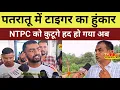 Download Lagu पतरातू में टाइगर का हुंकार ।। NTPC को कुटूगे हद हो गया अब  #tigerjairammahto 