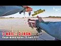 Download Lagu KENAPA SAYA TIDAK TERFIKIR UNTUK PAKAI 25 MATA KAIL SEKALIGUS ?! Fishing Story Eps 117