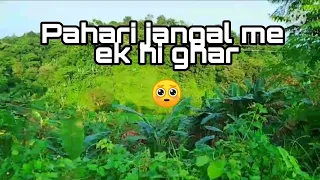 jangal me mangal 2021