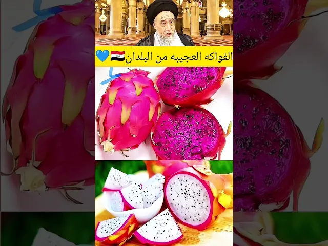⁣الفواكه العجبيه. 😱💓🙏سيد صباح شبر
