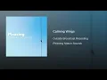 Calming Wings