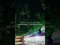 Download Lagu Bil Quraani Saamdy | Ammar Sarsar, cover +lirik, cover by Nissa Sabyan #short