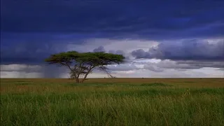 crazy tunez feat lizwi blessings dj mreja u0026 neuvikal soule remix 
