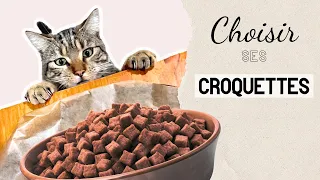 Comment choisir les croquettes de ton chat adulte