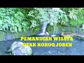 Download Lagu Perjalanan Ke Wisata Otak Kokoq Joben MT Gading #raamlee #nature #pesonalombok 